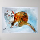 Search for ferret art posters Animal