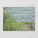 Search for delicate postcards Summer