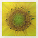 Search for sunflower seed Floral