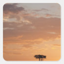 Search for mara stickers Plain