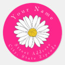 Search for pink daisy return address labels Flowers