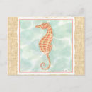 Search for orange horse postcards Sea life