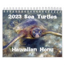 Search for turtle calendars Hawaii