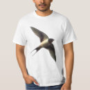 Search for swallows photography Animals