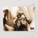 Search for scary postcards Creepy