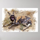 Search for african wild dogs posters Painted