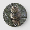 Search for maine coon cat art Pets
