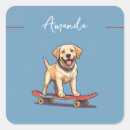 Search for skateboard stickers Birthday