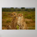 Search for vintage hunting art Wild