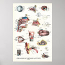 Search for nose posters Eye