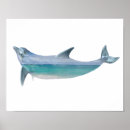 Search for dolphin posters Ocean