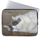 Search for maine coon gifts Cat