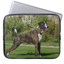 Search for shoulder cases Dog