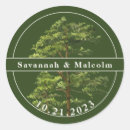Search for evergreen tree stickers Rustic