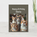 Search for menopause birthday cards Funny