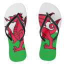 Search for cymru clothing Flag of wales