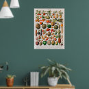 Search for vintage fruit posters Vegetables