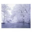 Search for cold season posters North america