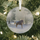 Search for wilderness christmas tree decorations Snow