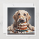 Search for golden birthday invitations Dog
