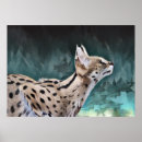 Search for serval cat posters Wildlife