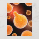 Search for parasite postcards Biomedical illustrations