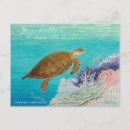 Search for turtle painting postcards Ocean