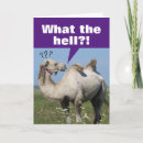 Search for camel birthday cards Funny