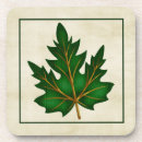 Search for fall colours coasters Stylish