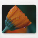 Search for marigold mouse mats Floral