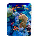 Search for tropical colours magnets Exotic