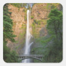 Search for jamis stickers Judy wild