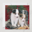 Search for shetland sheepdog christmas cards Cowboy boots