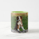 Search for australian shepherds mugs Dog