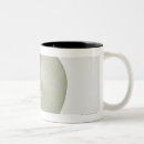 Search for slice of life mugs Freshness
