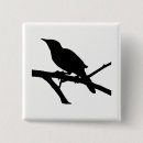Search for perching badges Wildlife