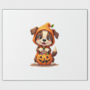 Search for cat dog wrapping paper Pumpkin
