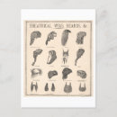 Search for theatrical postcards Vintage
