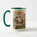 Search for ernst haeckel mugs Nature