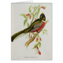 Search for colour lithographs postcards Bird