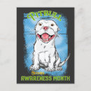 Search for pitbuls postcards Puppy