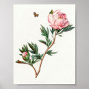 Search for bee image posters Floral