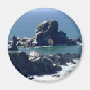 Search for oregon state magnets Unique