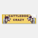 Search for acd bumper stickers Dog