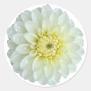 Search for dahlia flower stickers White