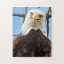 Search for wildlife photography puzzles Eagle