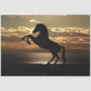Search for sunset tissue paper Horse