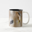 Search for cow head mugs Agriculture