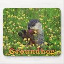 Search for groundhogs mouse mats Nature