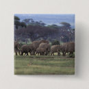 Search for habitat badges Wildlife